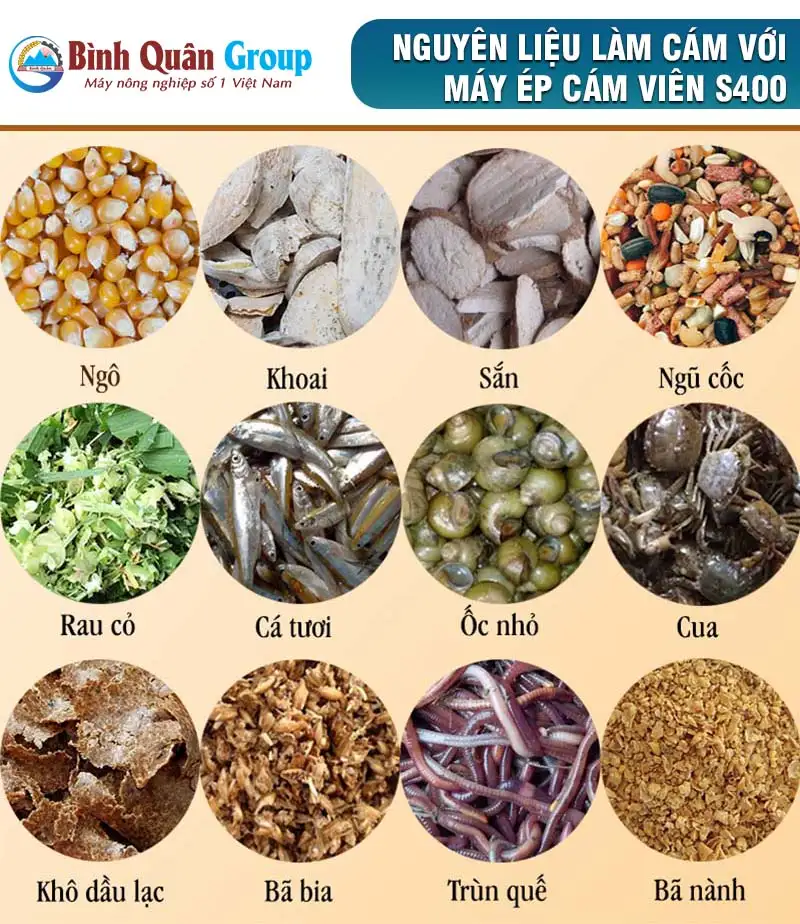 cong-thuc-ep-cam-vien_result222