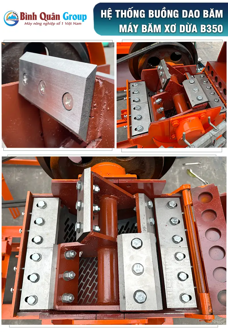 dao-bam-xo-dua_result222