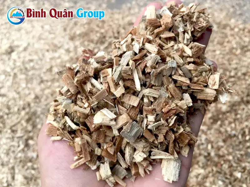manh-go-lam-dam_result
