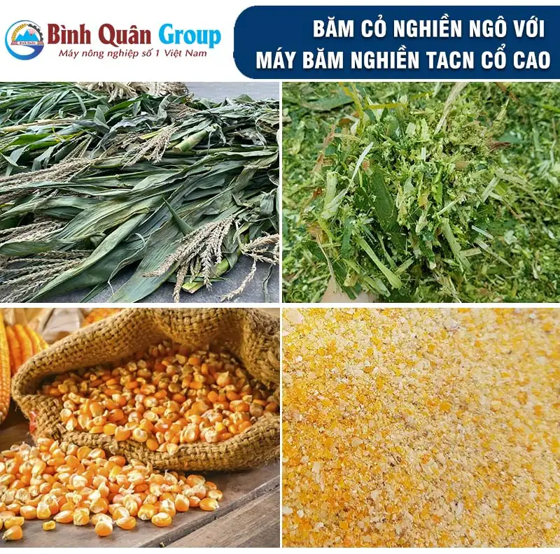 may-bam-co-da-nang_result222