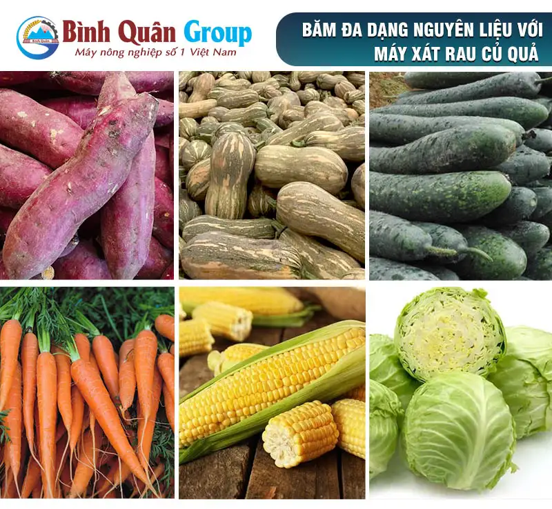 may-bao-rau-cu-qua_result222