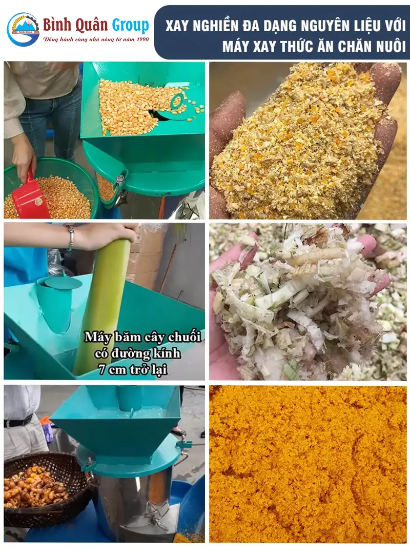may-xay-nhuyen-thuc-an-chan-nuoi_result