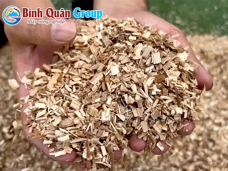 mun-go-thanh-manh_result