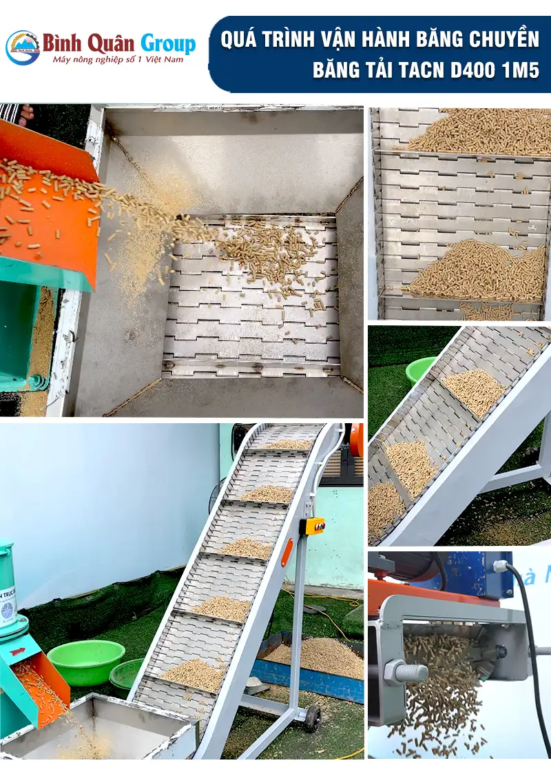 bang-tai-truc-vit_result222