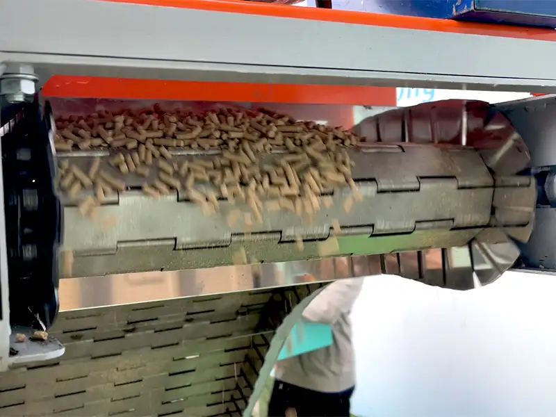 bang-tai-xich_result222