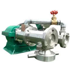 Alternative view of Máy đùn mì 2 nòng inox