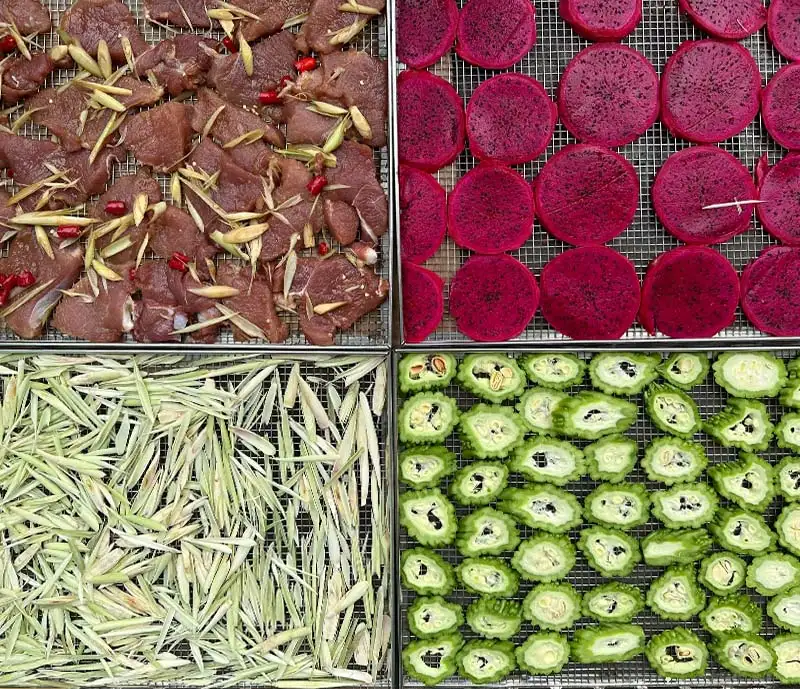 may-say-thuc-pham-10-khay_result222