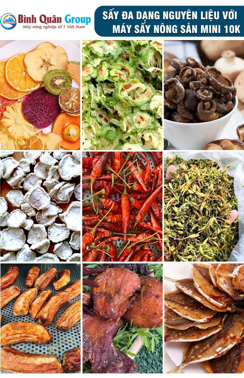 may-say-thuc-pham_result222