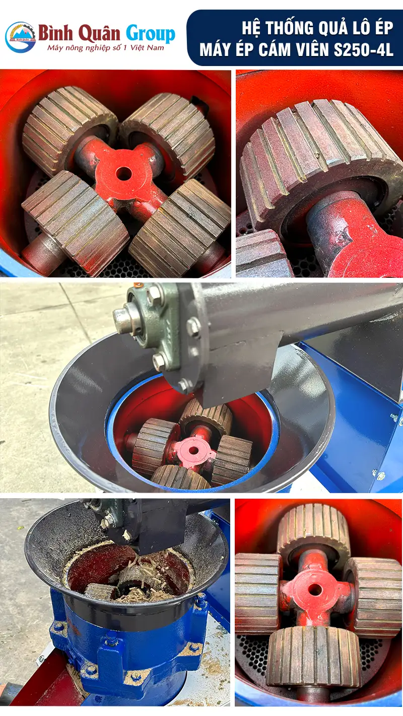 qua-lo-ep-cam-vien_result222