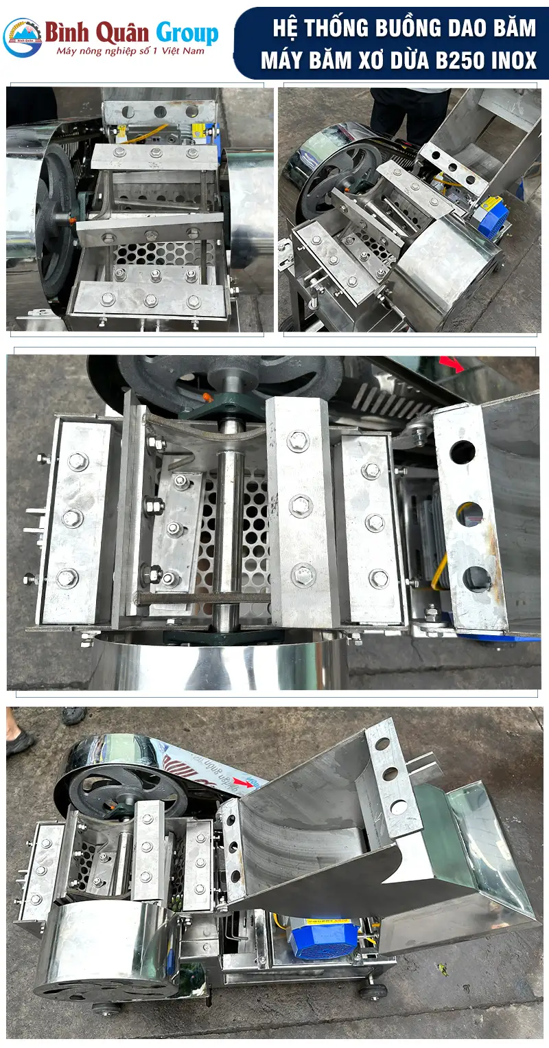 dao-bam-xo-dua copy_result222