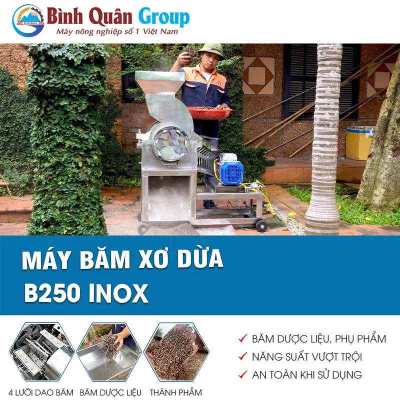 may-bam-xo-dua-b250-inox-binh-quan-group_result222