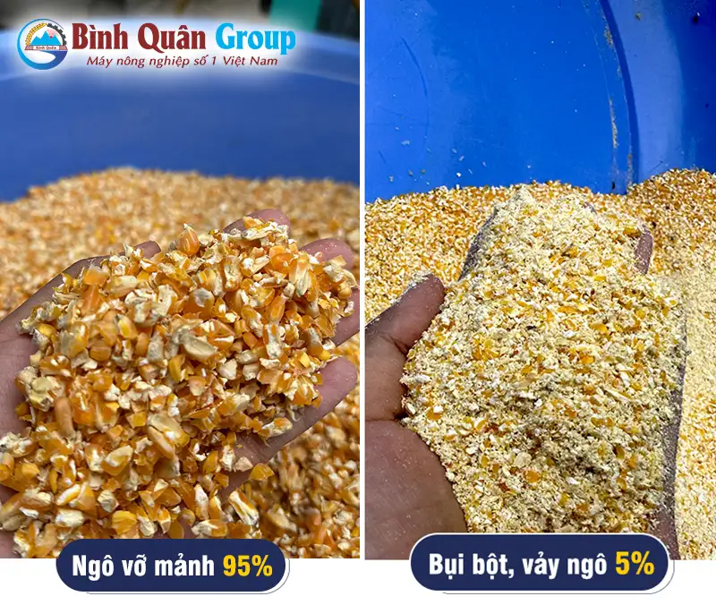 ngo-vo-manh_result222