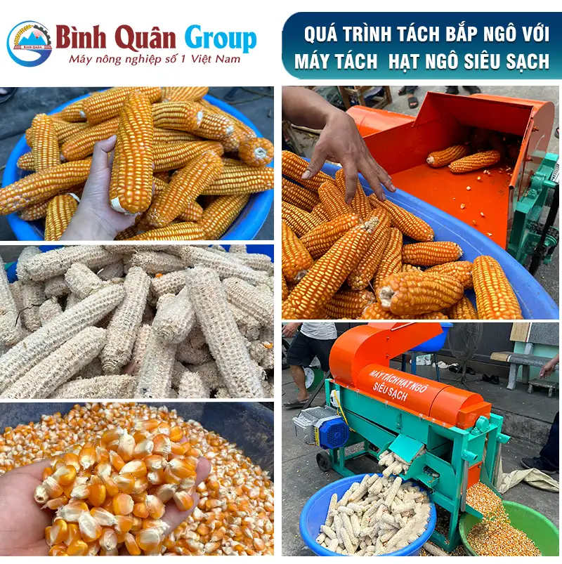 may-tach-hat-ngo-gia-dinh_result222