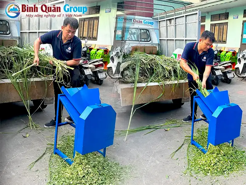 may-bam-co-1-pha_result222