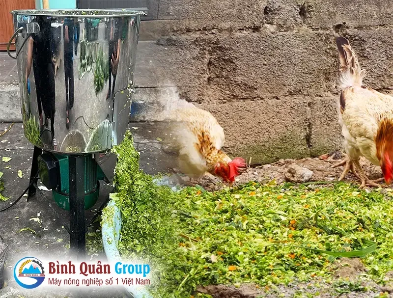 may-bam-rau-cho-ga-1-pha_result