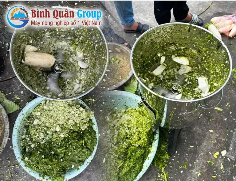 may-xay-rau-cho-ga-1-pha_result