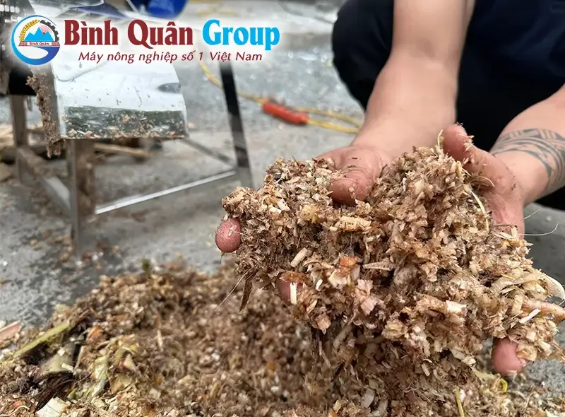 thai-chuoi-cho-lon_result