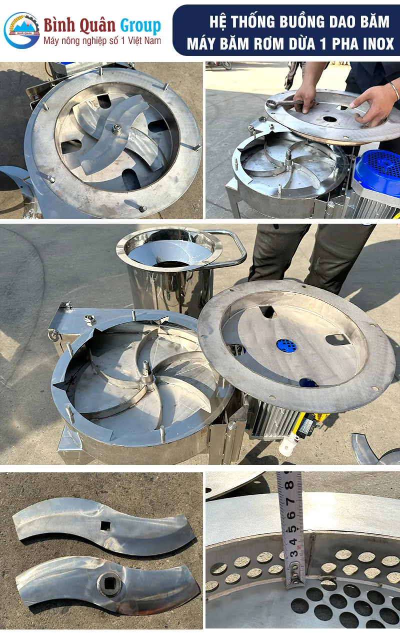 dao-bam-vo-dua_result