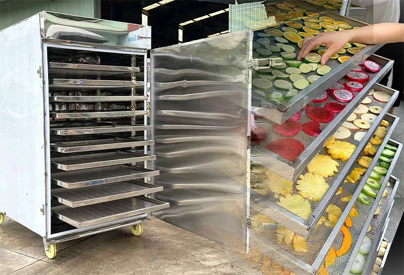 may-say-trai-cay-inox_result