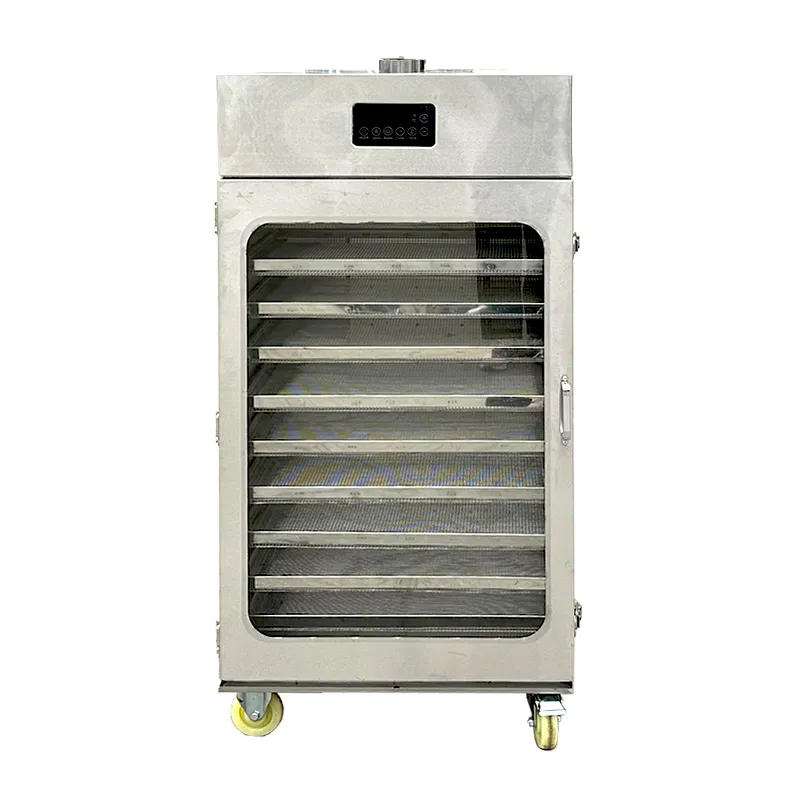 Máy sấy gia đình phiên bản mới - Ảnh 3