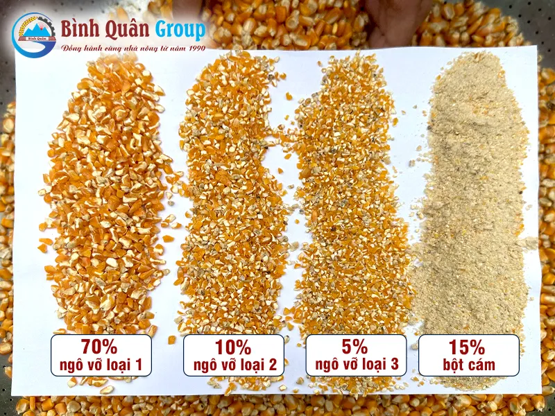 ngo-vo-manh_result