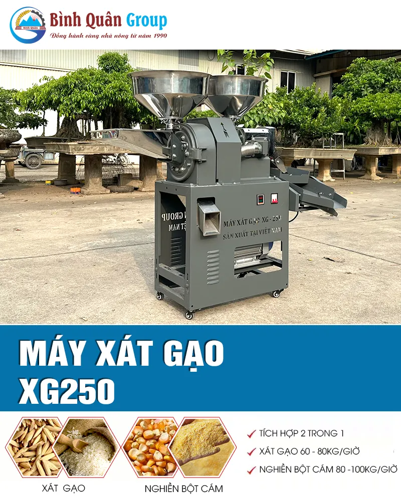 may-xat-gao_result